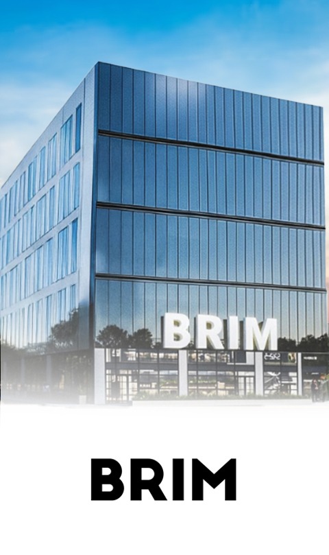 brim